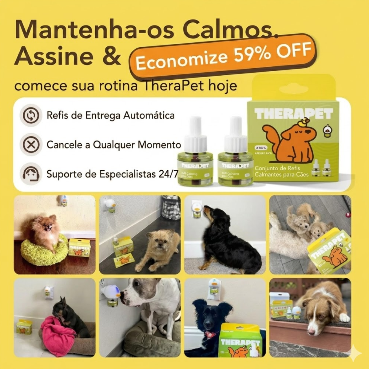 Kit Difusor Calmante para Cães