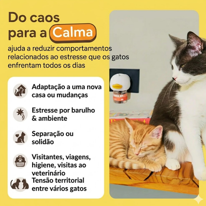 Kit Difusor Calmante para Gatos